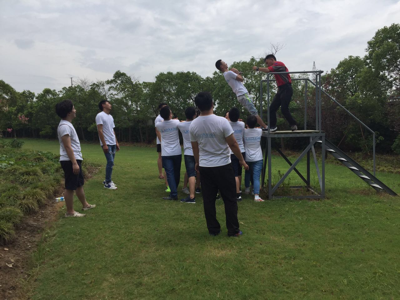 1507536603665228.jpg 4.jpg